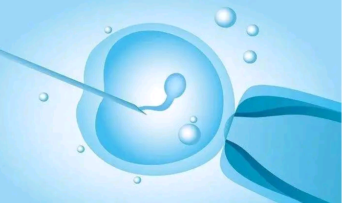 云南代怀孕费用表|三代试管婴儿出生后都是健康的吗？染色体异常怎么办？