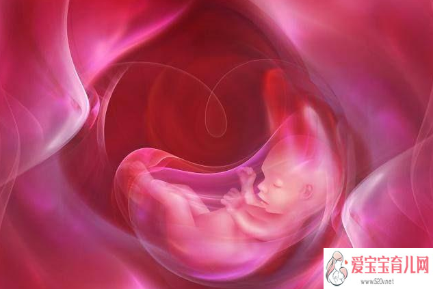 卵巢早衰易流产吗_生孩子切除子宫了_试管婴儿移植后几天可以知道自己是否怀