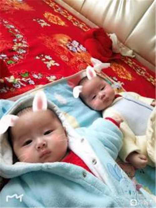西宁生殖中心_分享我的上海九院试管婴儿之路1