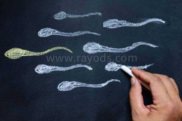 染色体异常与生化_卵巢早衰怀孕生子_2022年泰国能做供卵试管婴儿吗？泰国供卵
