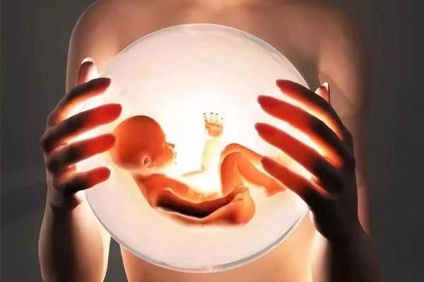 切除子宫能做试管_子宫卵巢切除试管_试管异卵双胎一胎停育怎么办