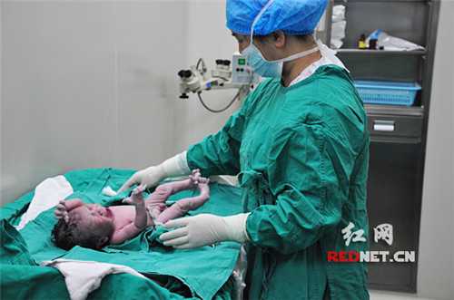 长春借卵代生_上海国妇婴做试管怎么样？试管费用和成功率是多少？